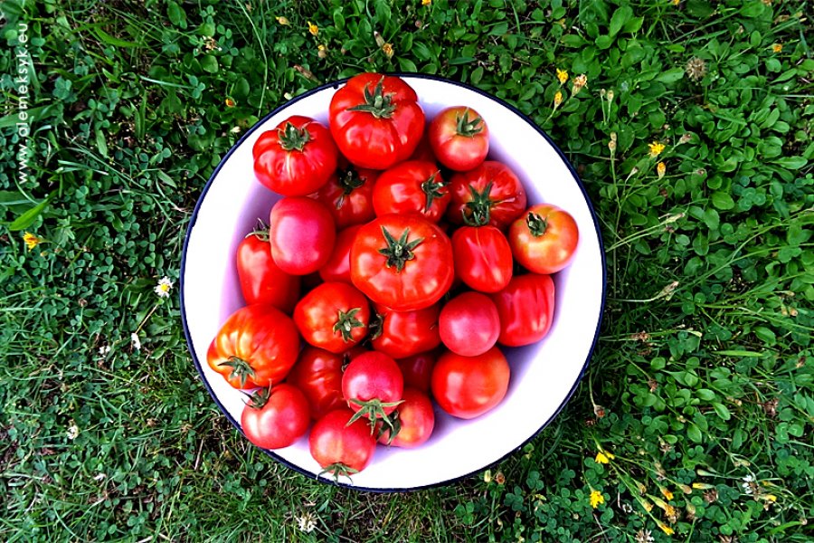 Jak zrobić idealny sos pomidorowy do makaronu i nie tylko?