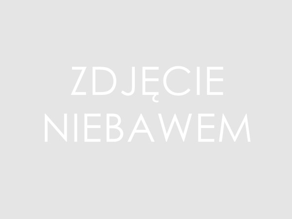 Burrito z kurczakiem, kukurydzą i papryczkami poblano