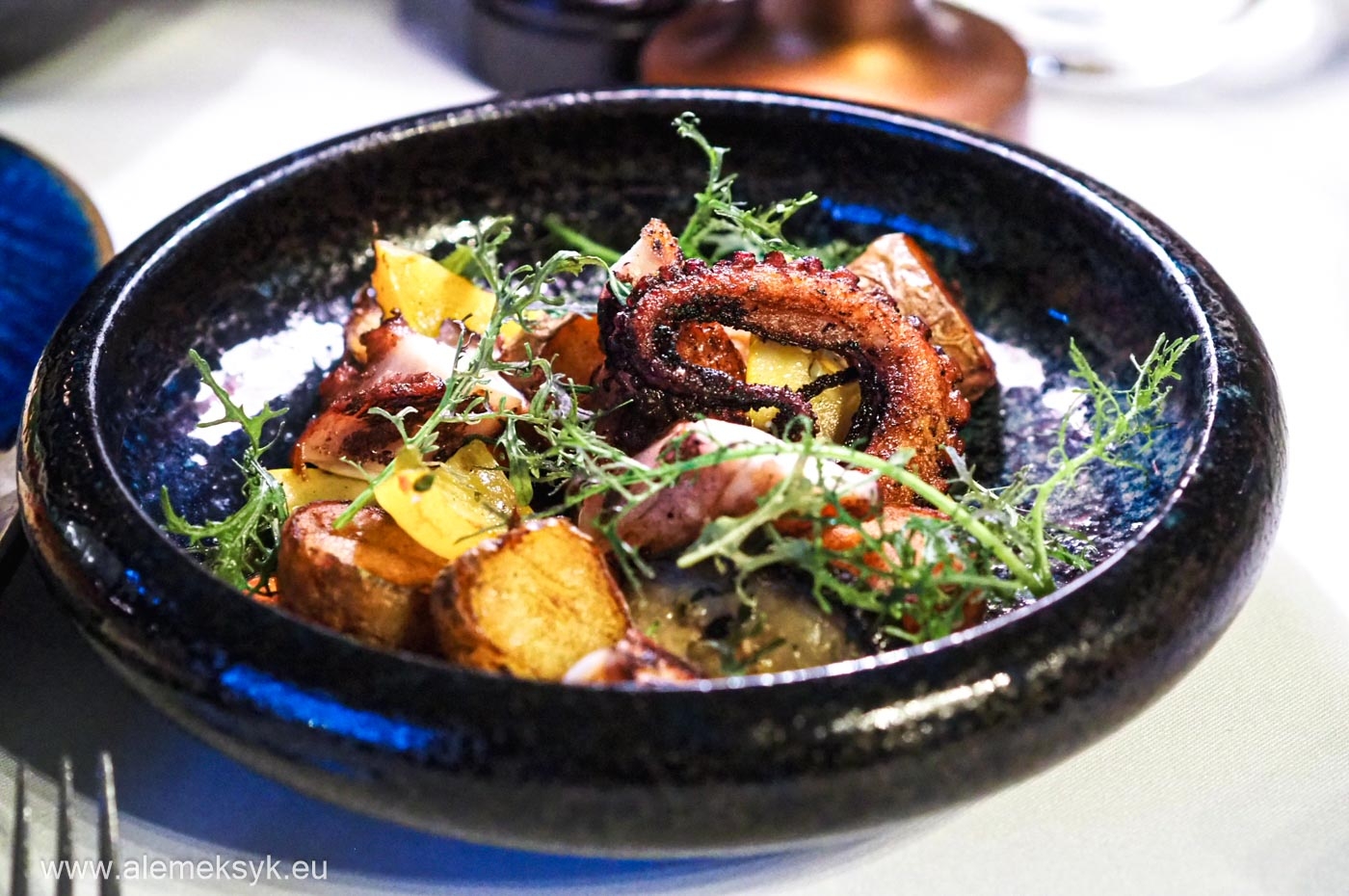 Dalmacja w restauracji Marconi – Kulinarne Podróże z Robertem Makłowiczem