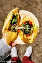 dia de la independencia mexico polonia 4