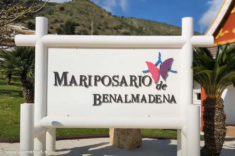 Co zobaczyć w Maladze i gdzie zjeść