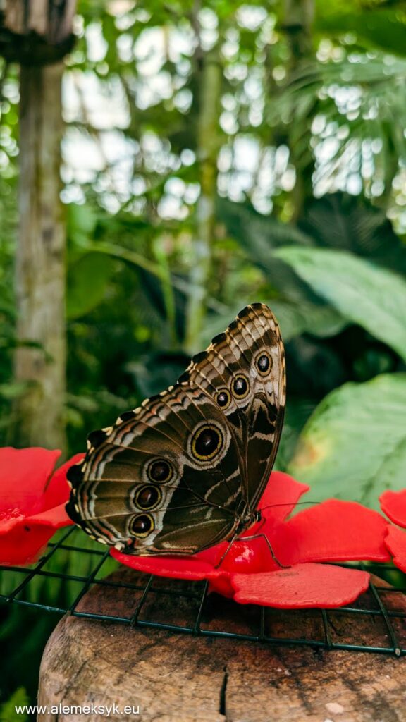 Co zobaczyć w Maladze i gdzie zjeść