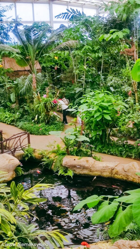 Co zobaczyć w Maladze i gdzie zjeść